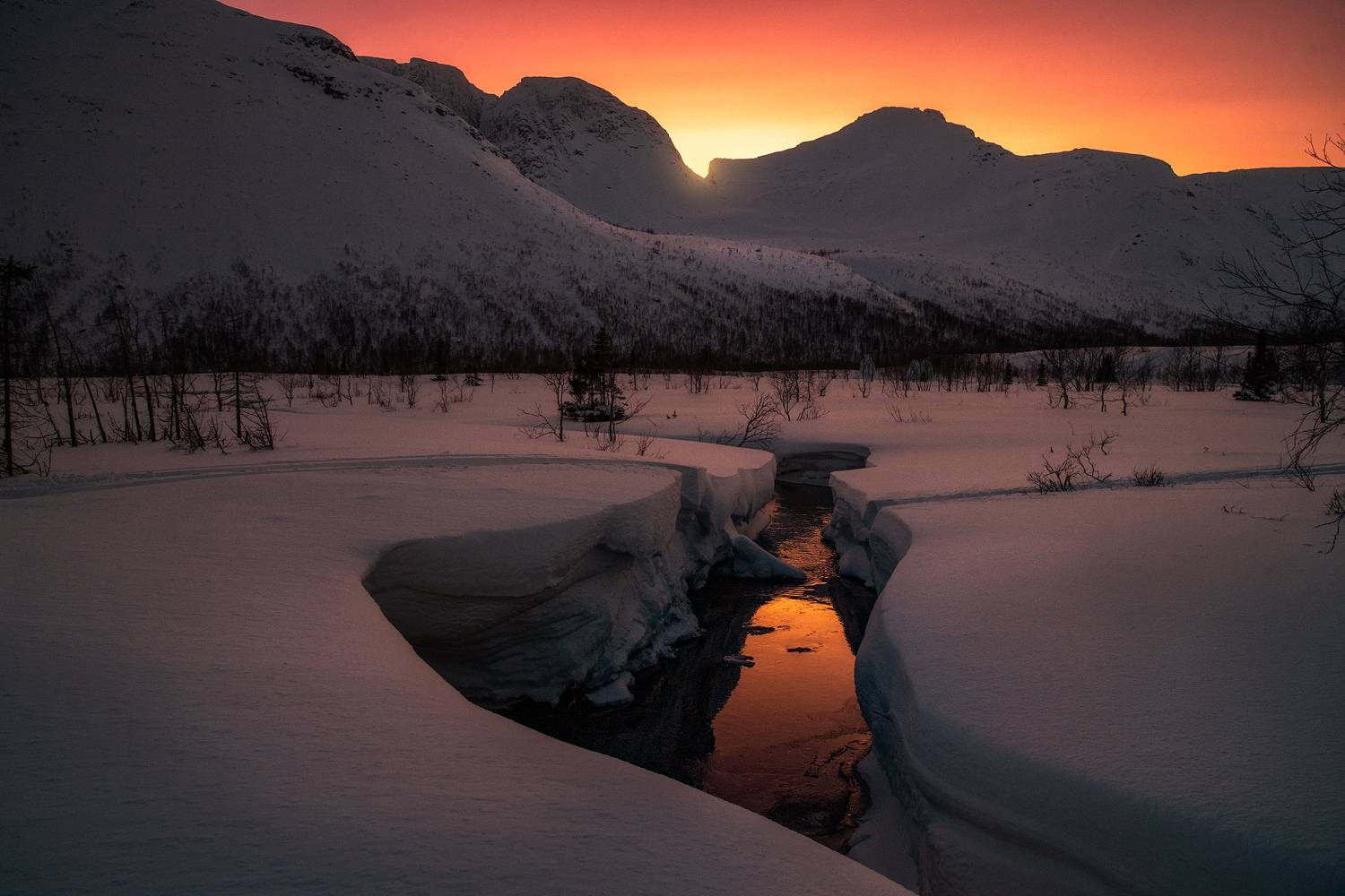 Фотография #13212469