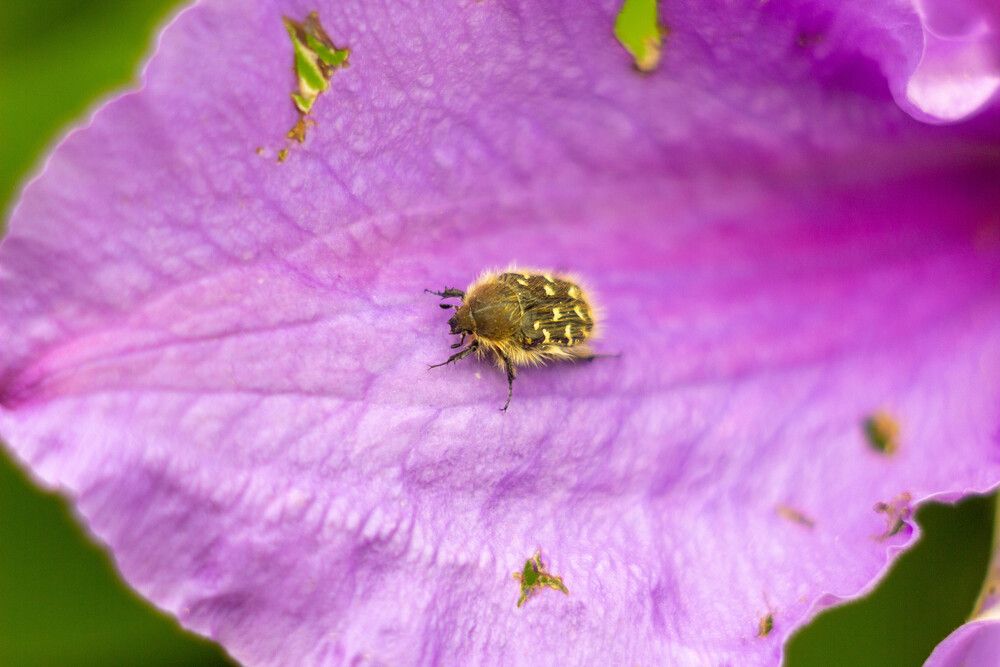 Photograph by Ольга Захарова