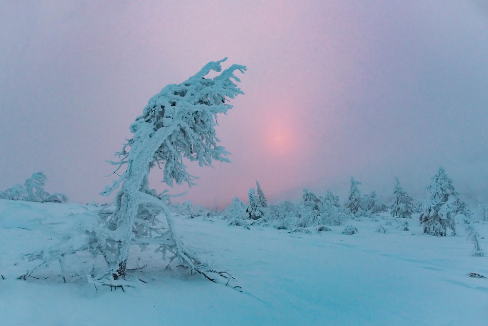 Фотография автора Саша Козырев