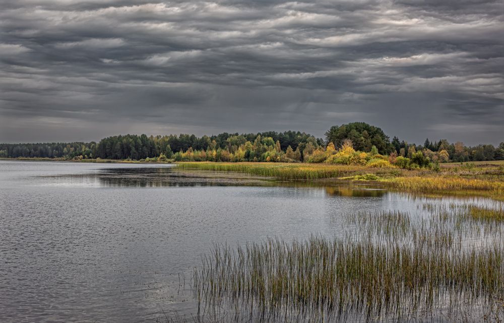Photograph by Александр Сальников