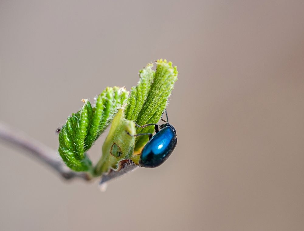 Photograph by Сергей Басов