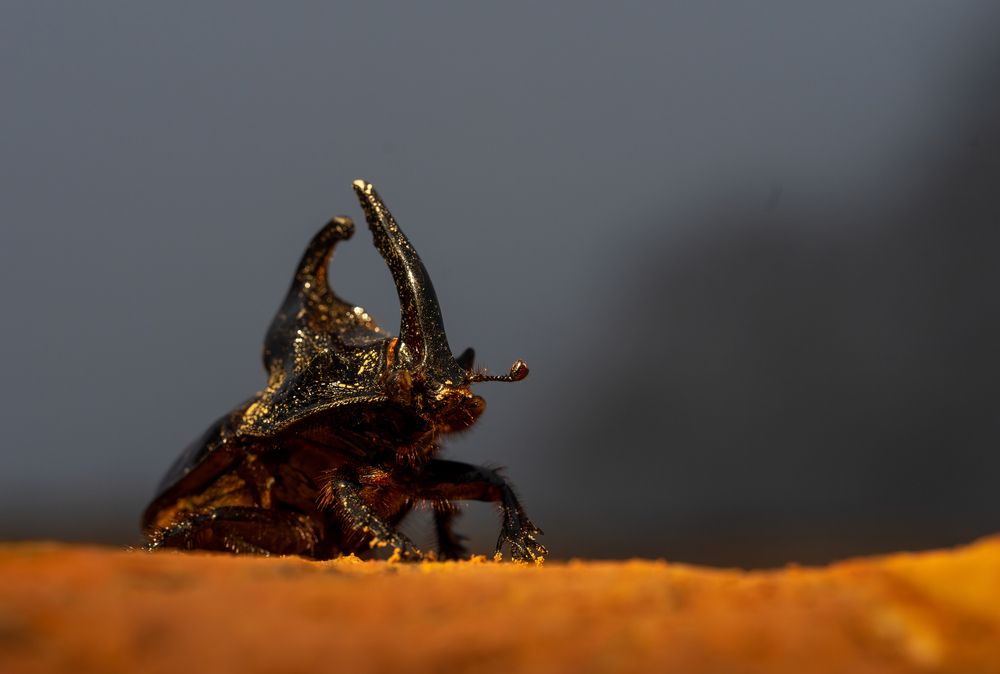 Photograph by Владимир Цветов