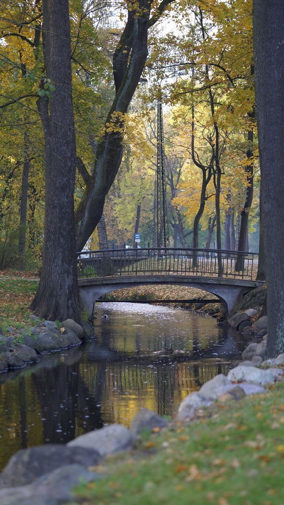 Фотография автора Вовкин Сын