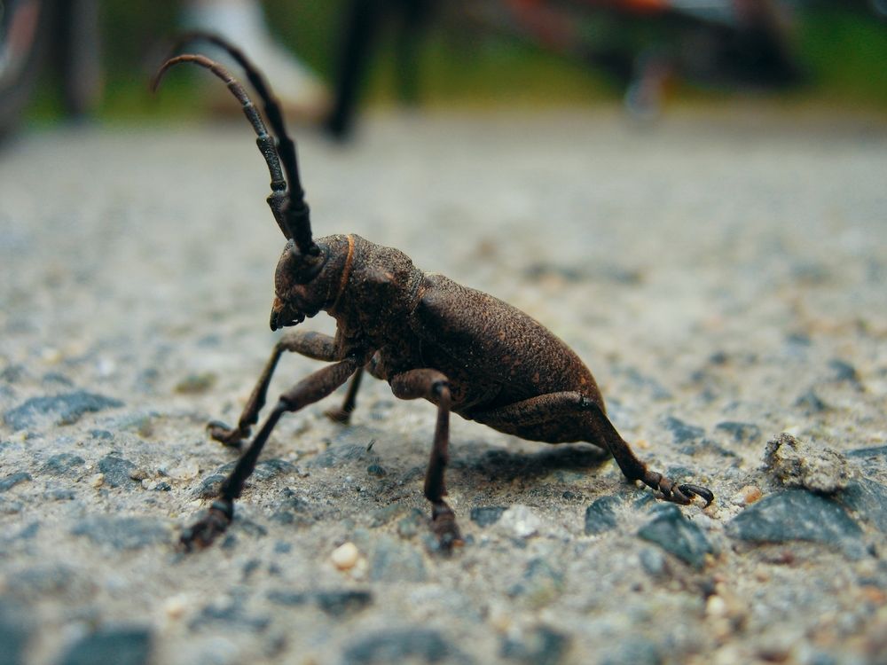 Photograph by Игорь Герасимов