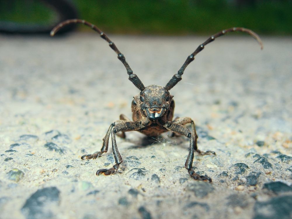 Photograph by Игорь Герасимов