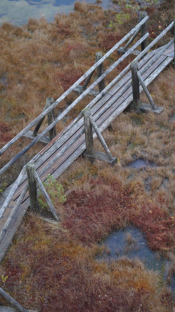 Фотография автора Вовкин Сын