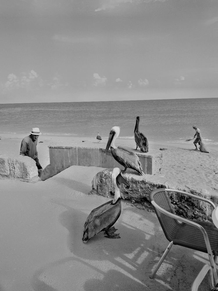Photograph by Алексей Егоров