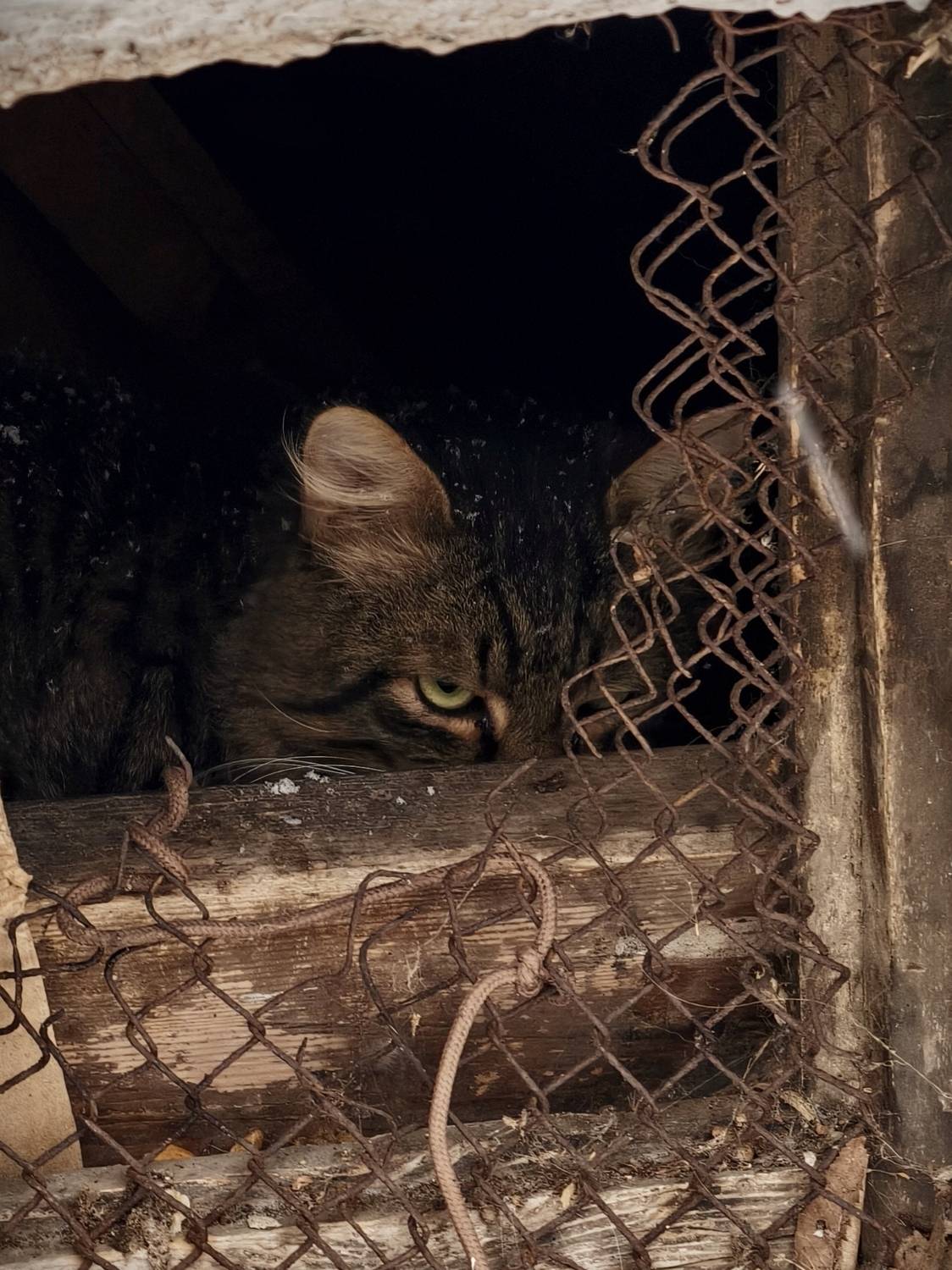 Теплый уголок