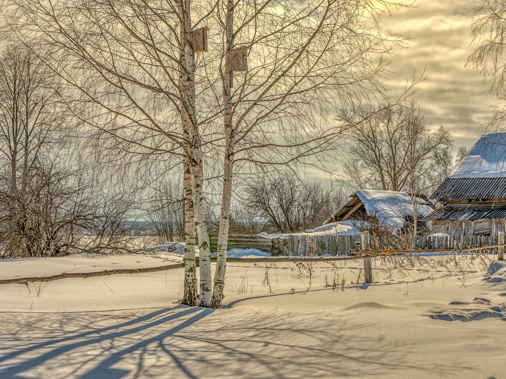 Photograph by Александр Сальников