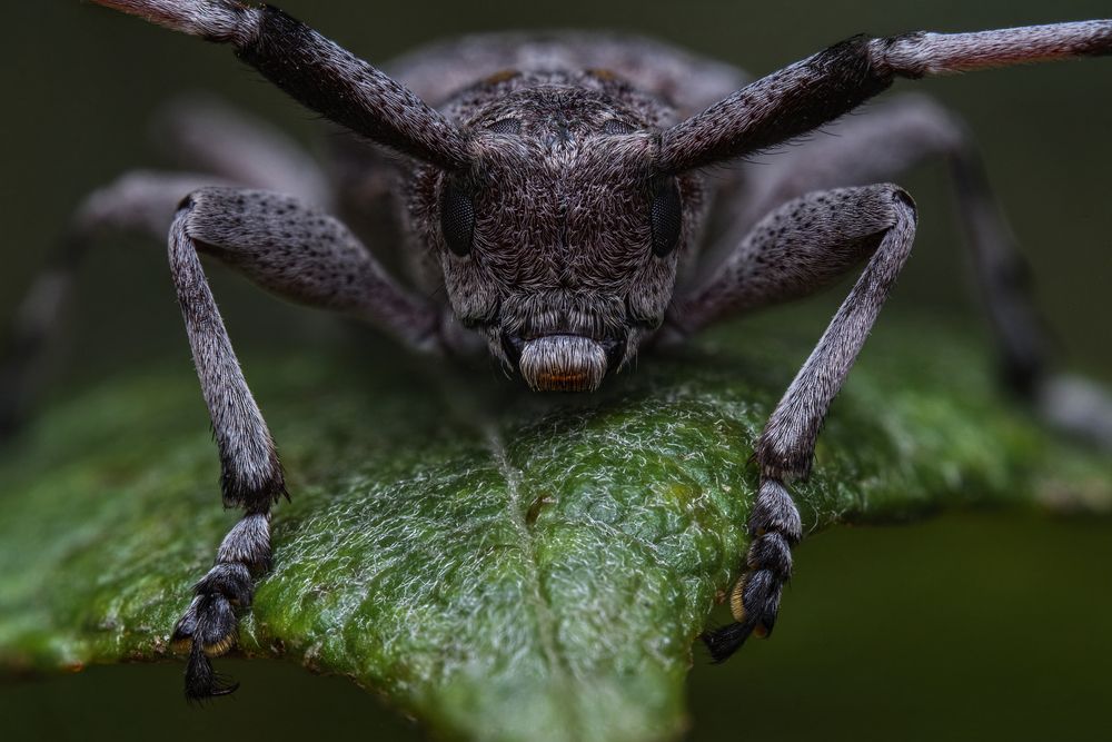 Photograph by Eimar Kull