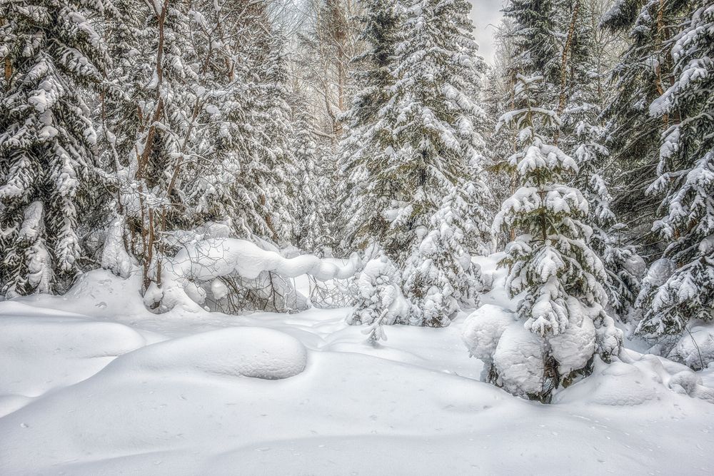 Фотография автора Юдинских Марина