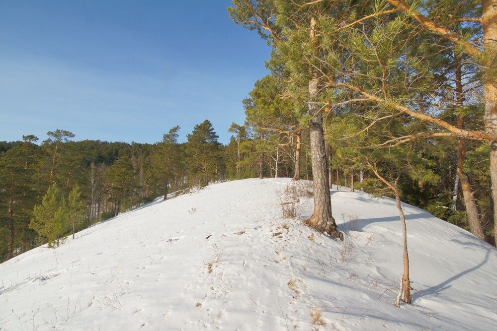 Photograph by Владимир Семиченко