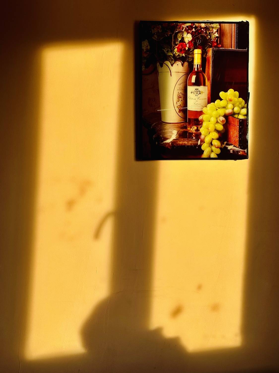 Photo #13212804