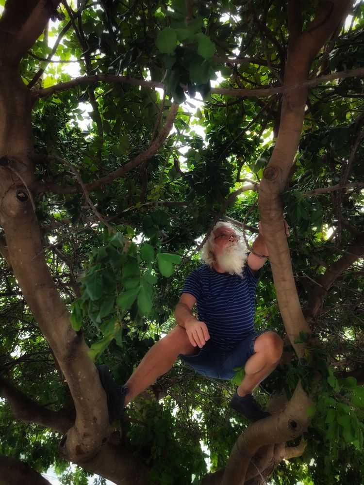 Фотография автора JELENA VASIC