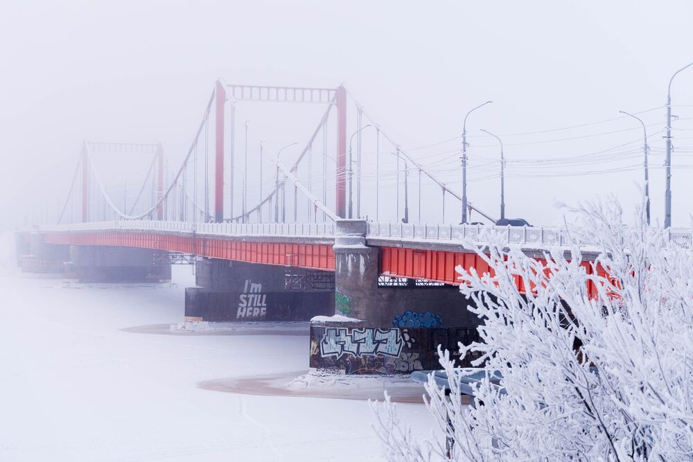 Photograph by Константин Черняев