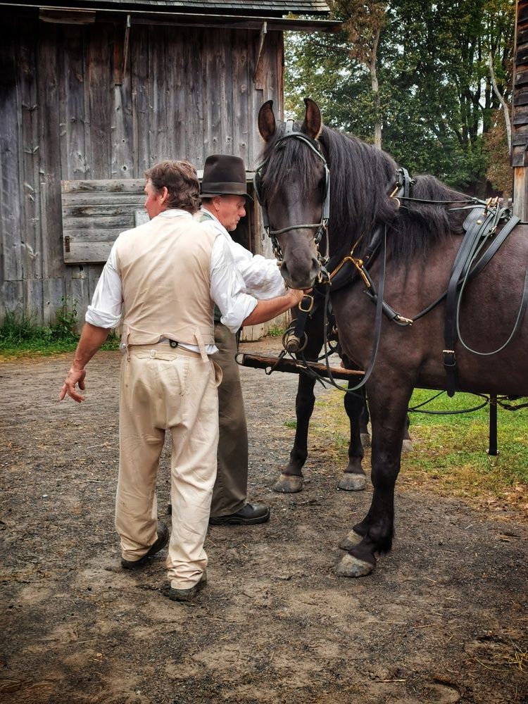 Фотография автора Veremeyeva Marina