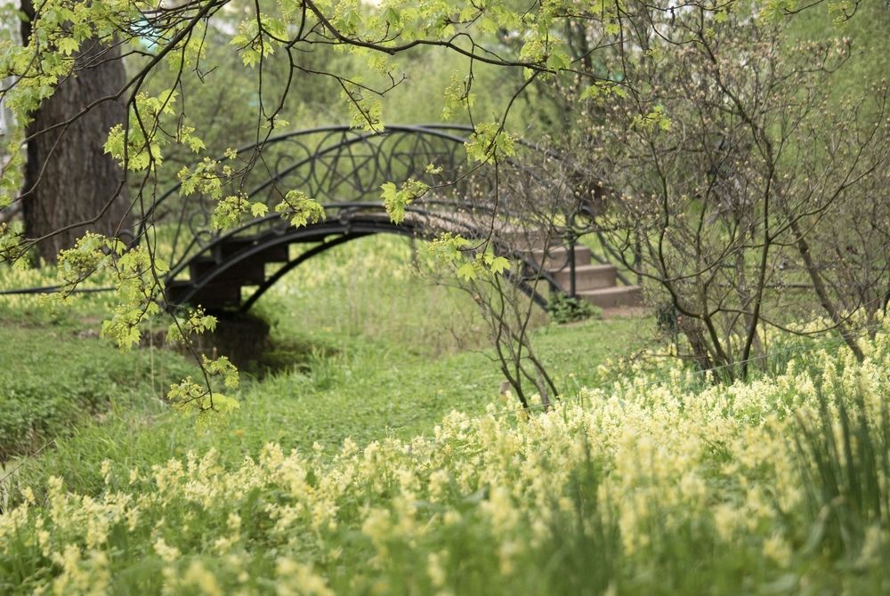 Photograph by Анна Васильева