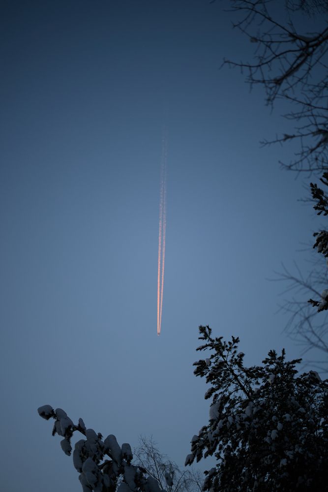 Photograph by Елизавета Прескенис