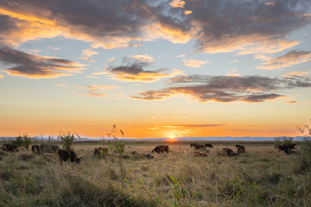 Photograph by Alexander Pakhomov