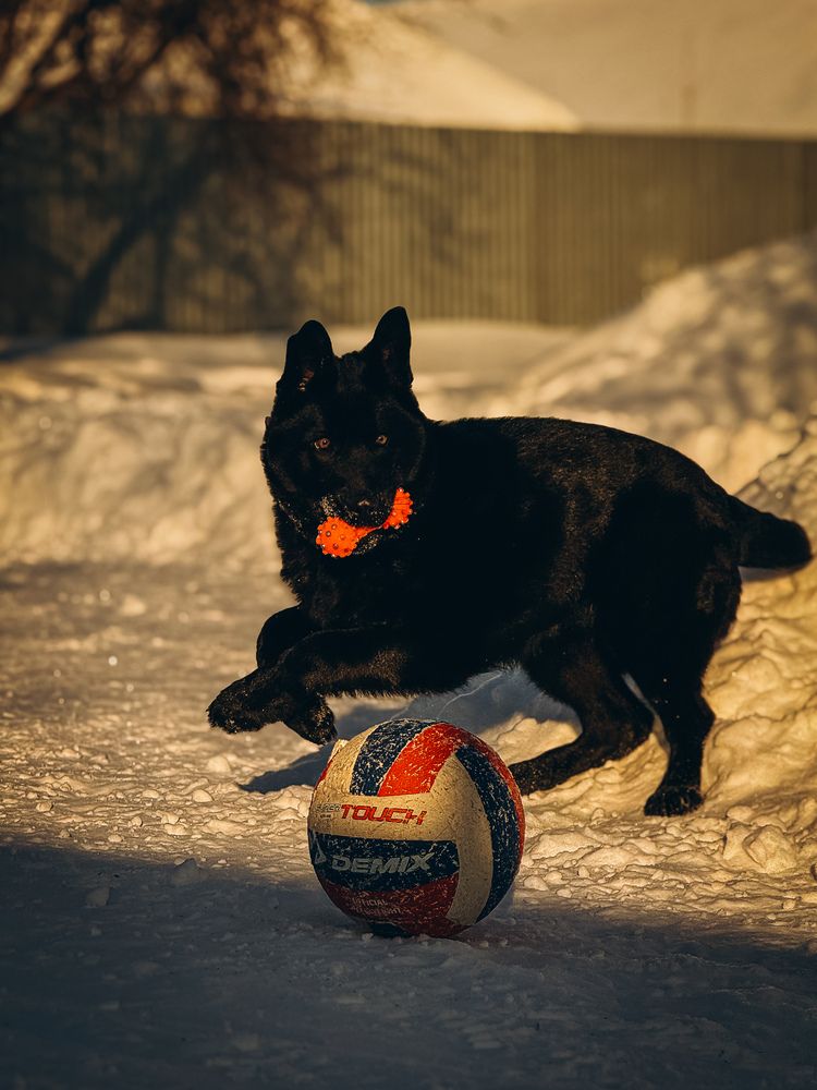 Photograph by Алёна Горошко