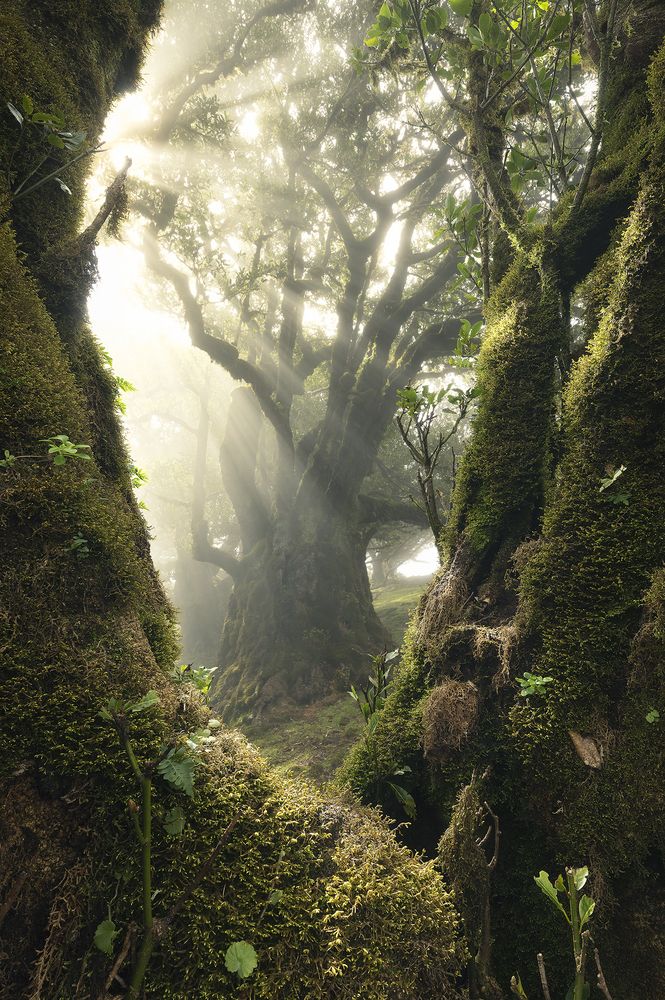 Photograph by Ilaria Trezzi