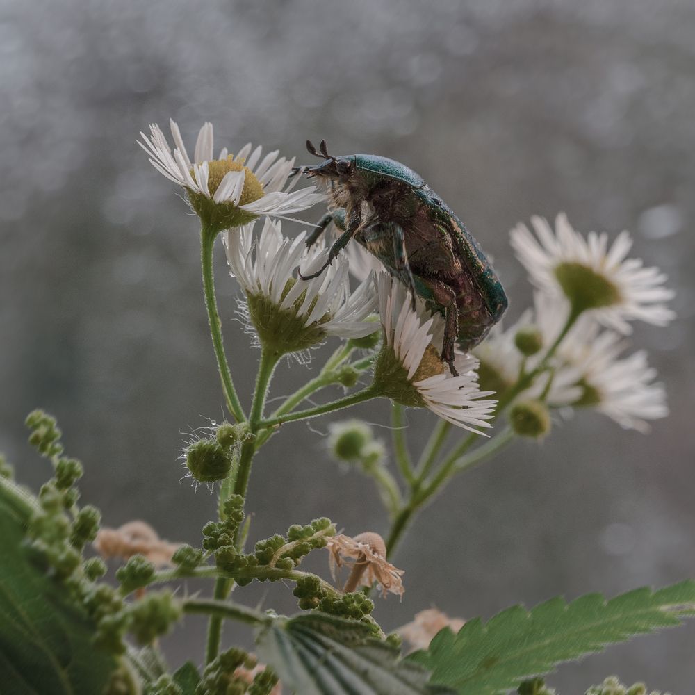 Photograph by Татьяна Эрбутаева