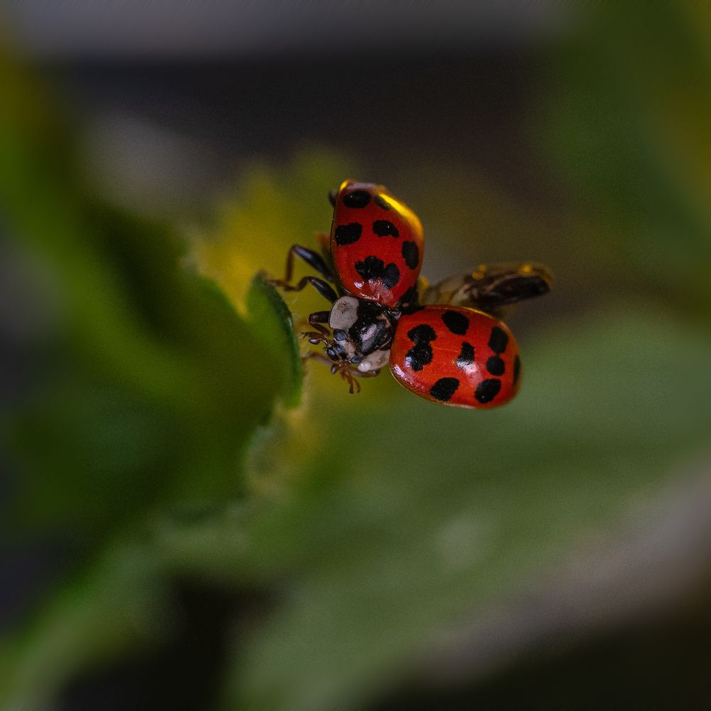 Photograph by Татьяна Эрбутаева