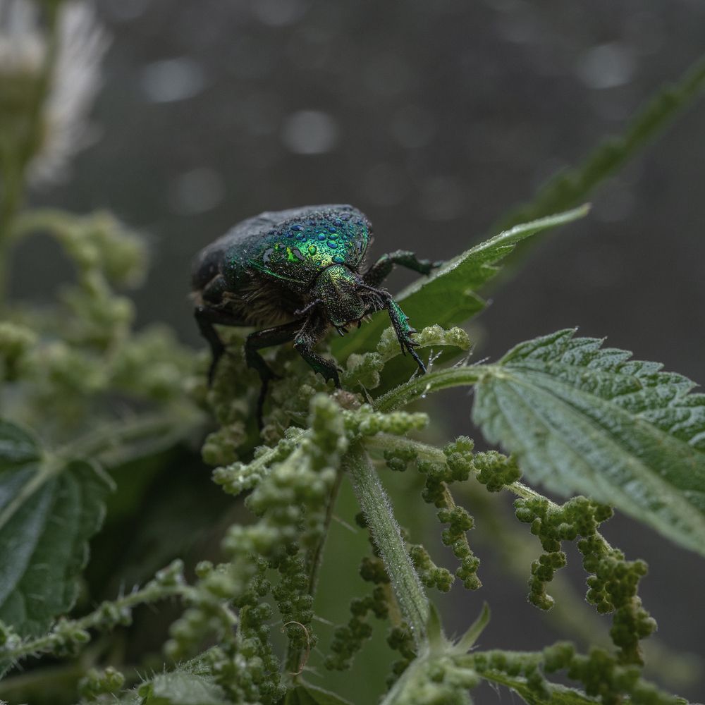 Photograph by Татьяна Эрбутаева