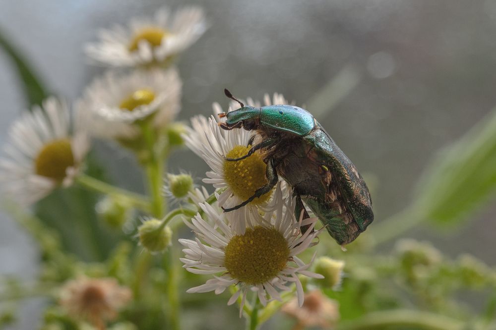 Photograph by Татьяна Эрбутаева
