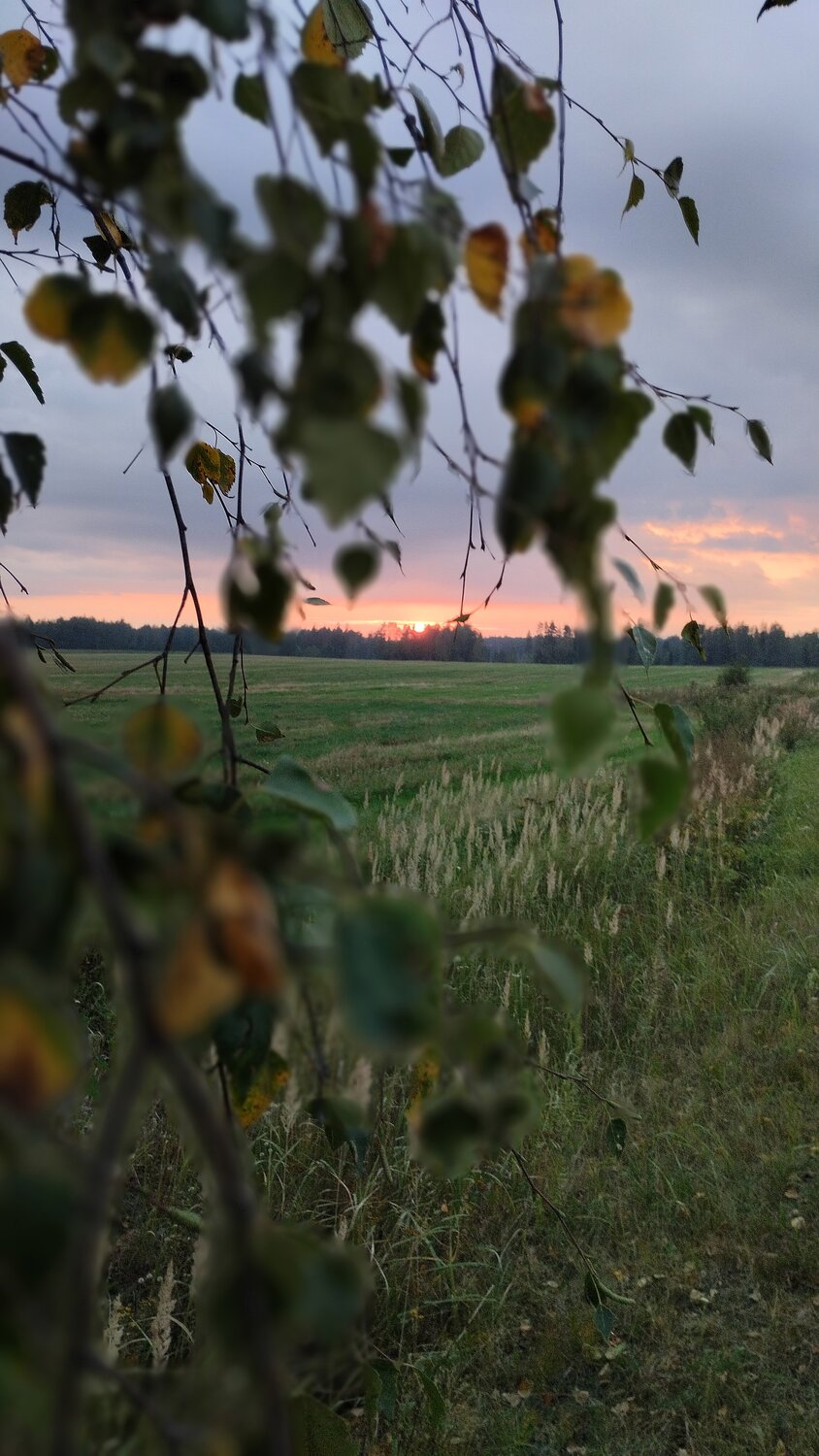 Photo #13213034