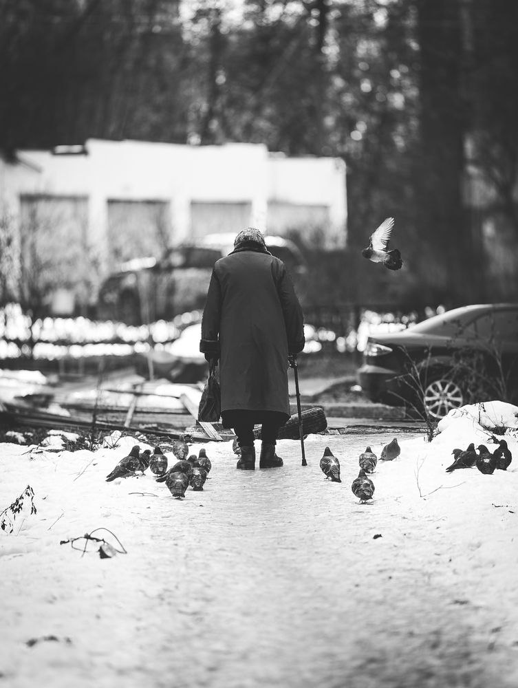 Photograph by Софья Титова