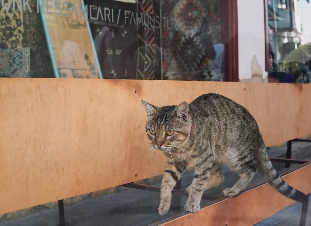 Photograph by Андрей Корытов