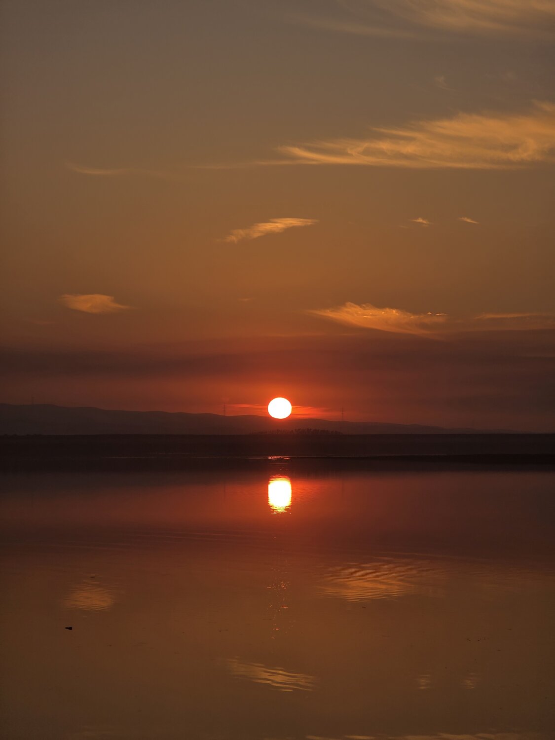 Photo #13213069