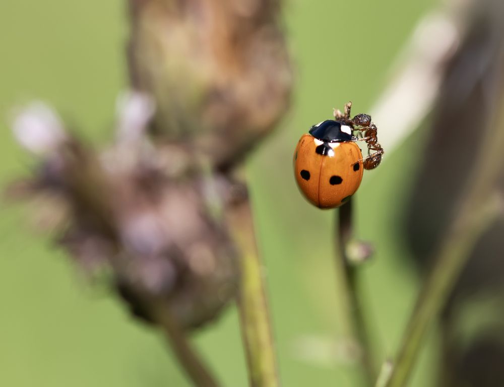 Photograph by Татьяна Феденкова