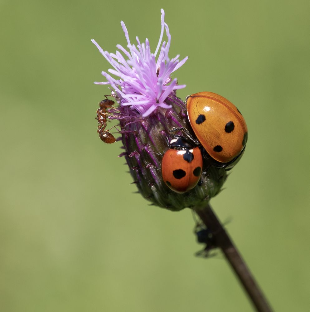 Photograph by Татьяна Феденкова