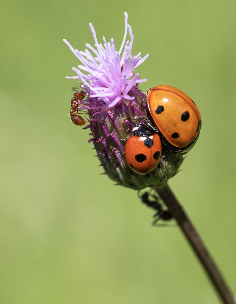 Photograph by Татьяна Феденкова