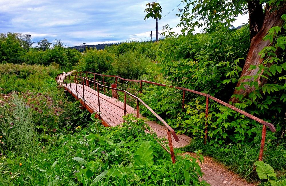 Фотография автора Николай Худяков