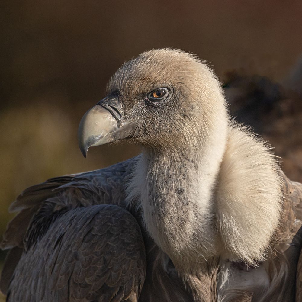 Photograph by Ita Martin