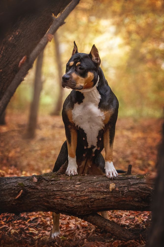 Photograph by Эльнара Исаева