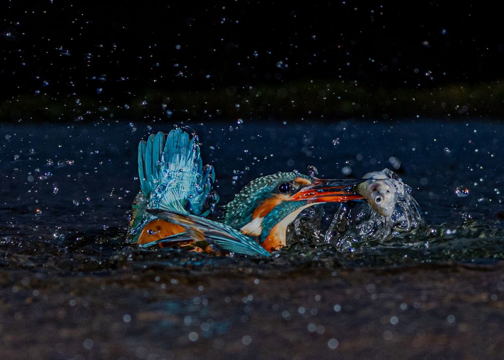 Photograph by Ita Martin