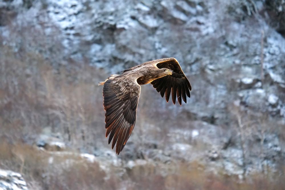 Photograph by Alessandra Castagnolo