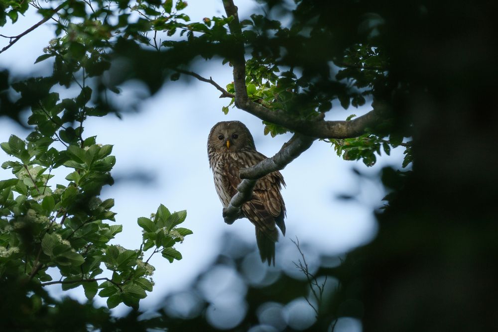 Photograph by Alessandra Castagnolo