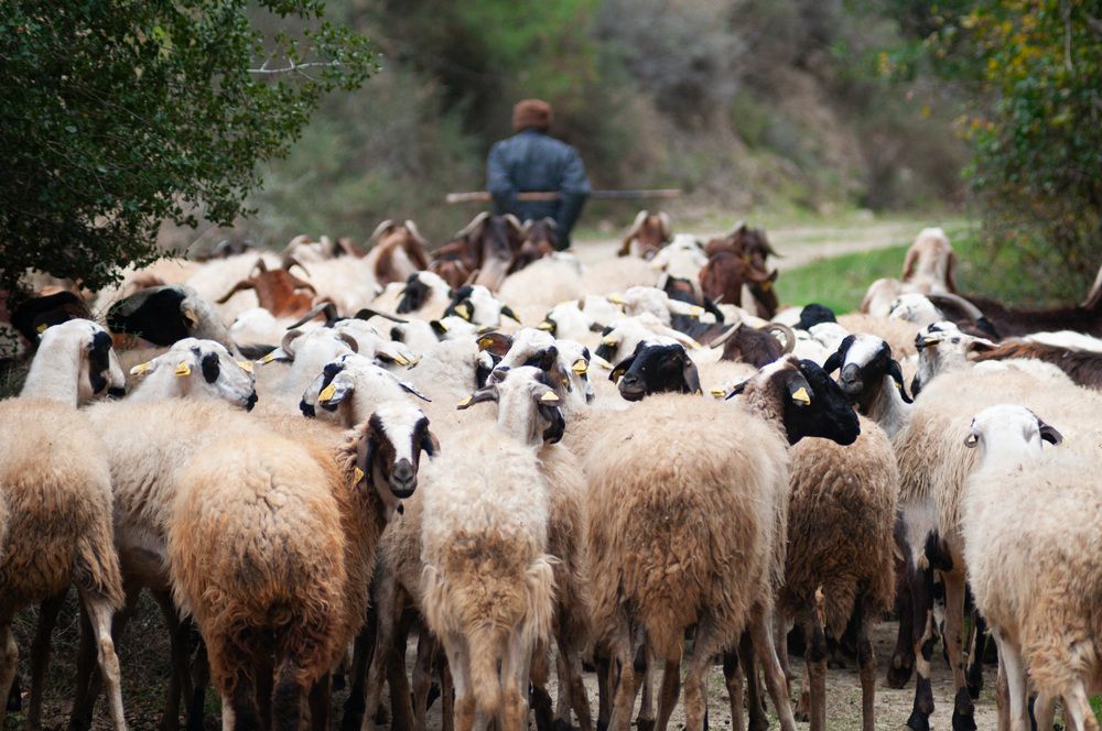 Фотография автора Денис Кулешов