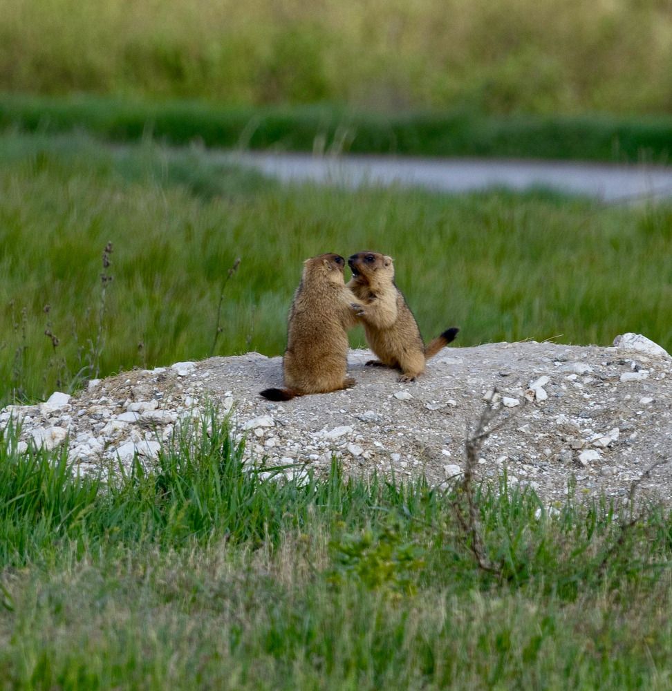 Photograph by Ирина Бабич