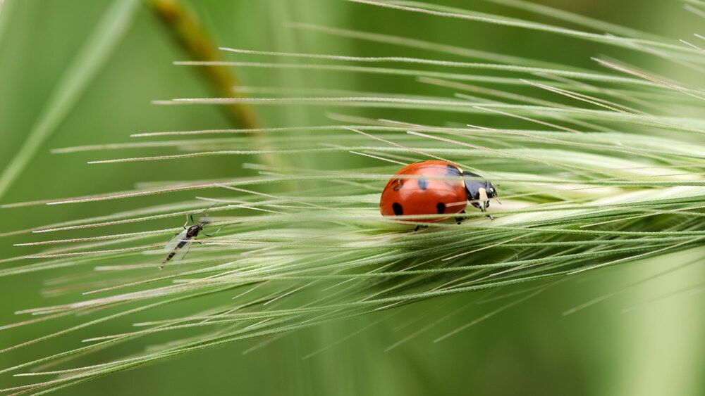 Photograph by Александр Пугачев
