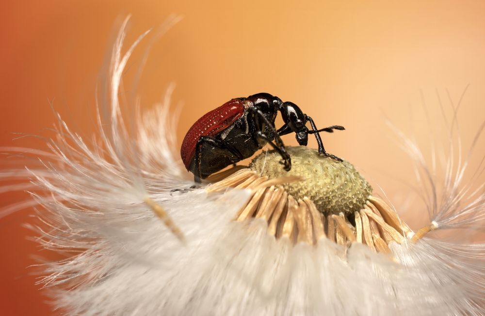 Photograph by Железнова Людмила