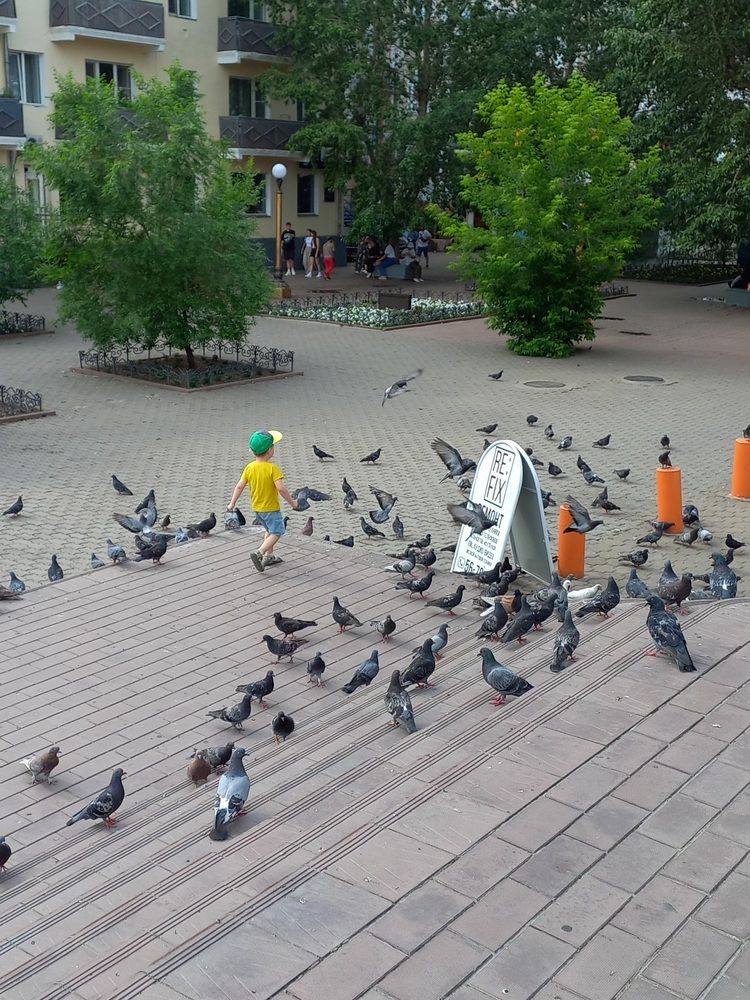 Photograph by Андрей Корытов