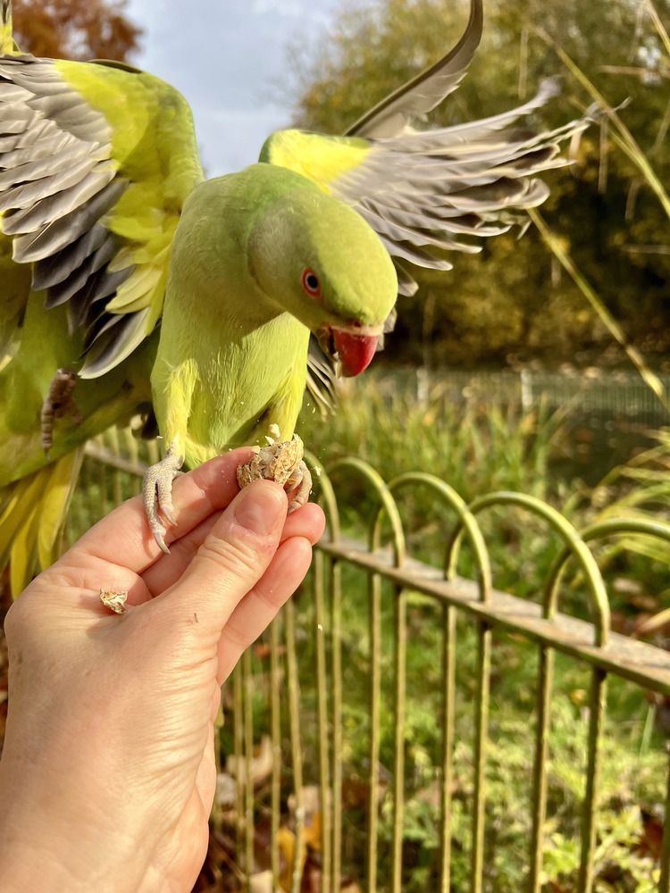 Photograph by Nadezda Sarap