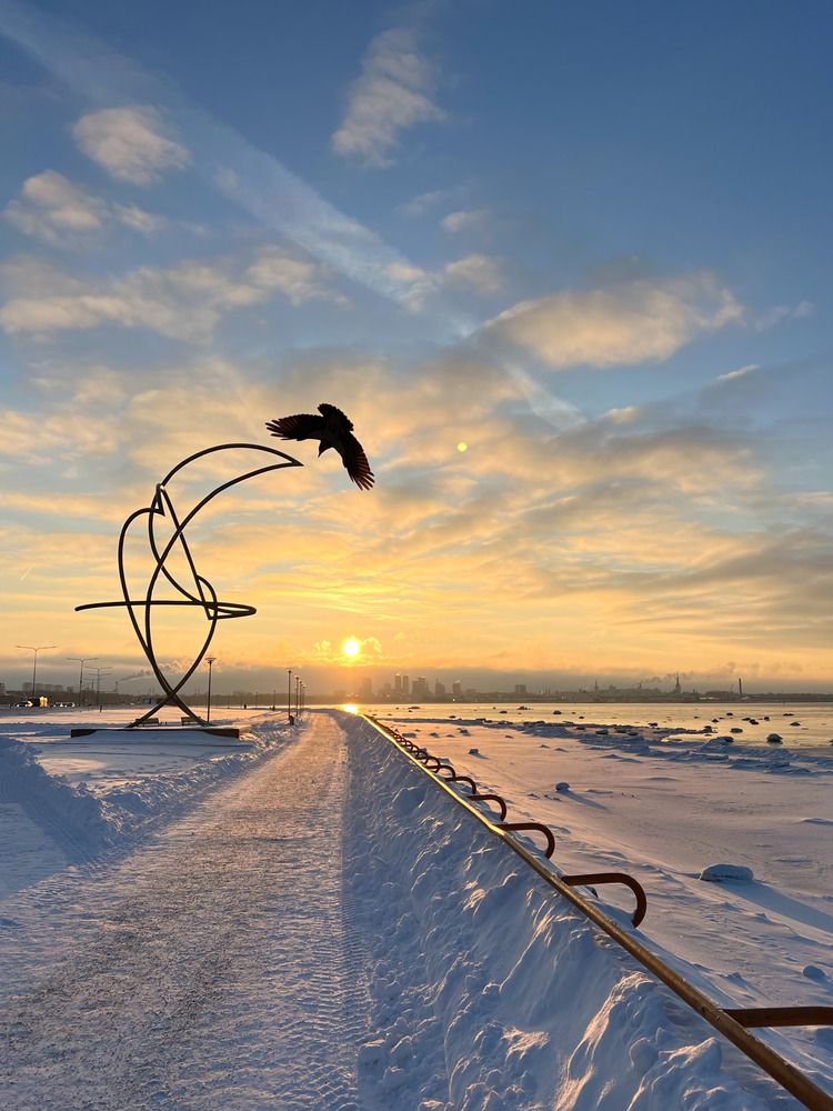 Photograph by Nadezda Sarap