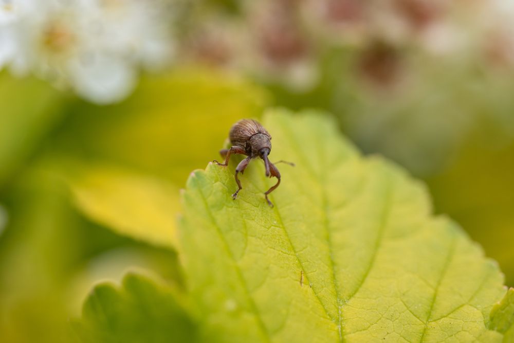 Photograph by Даниил Пузаков